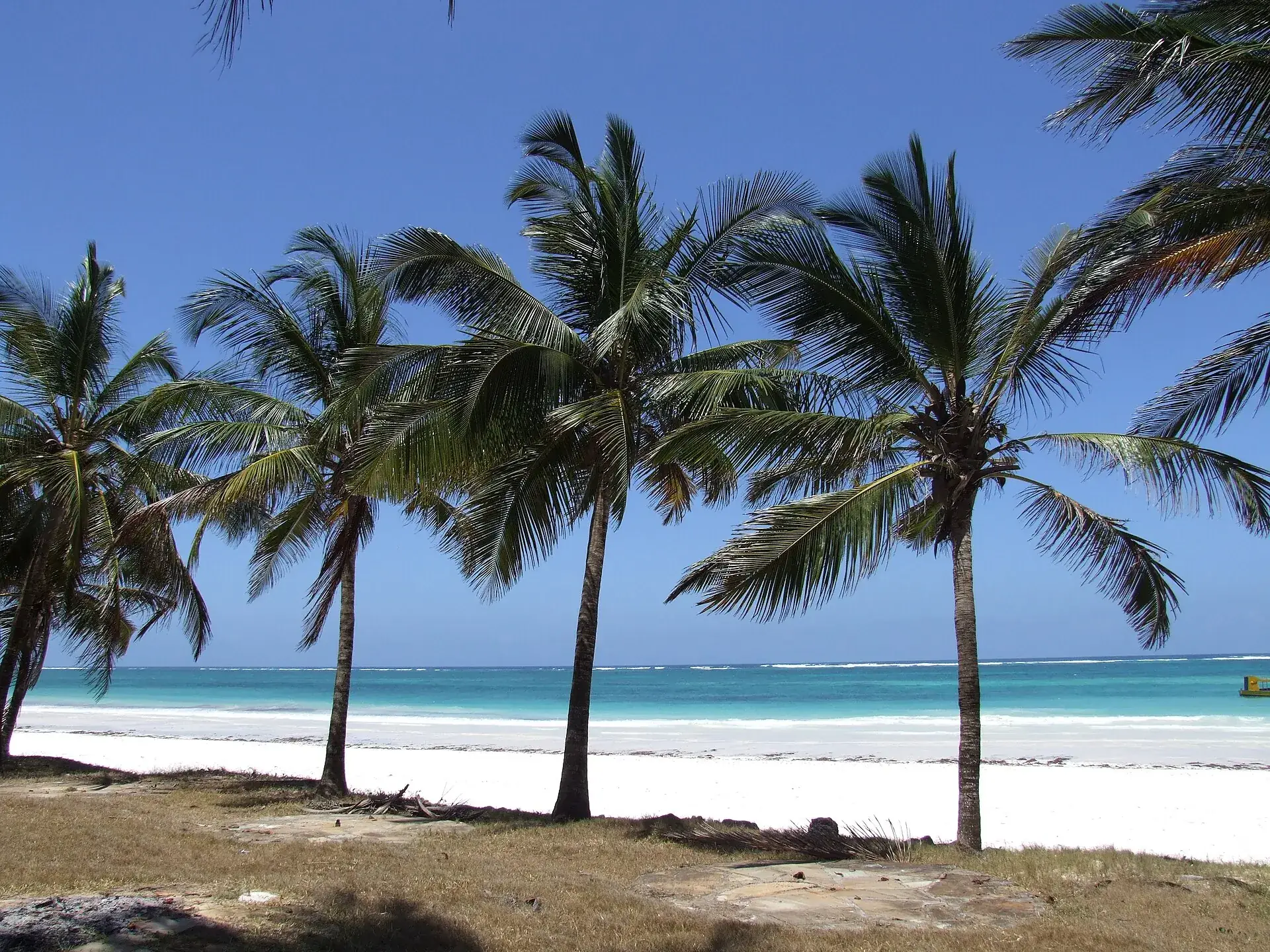 Palm trees on the white sand of Diani Beach