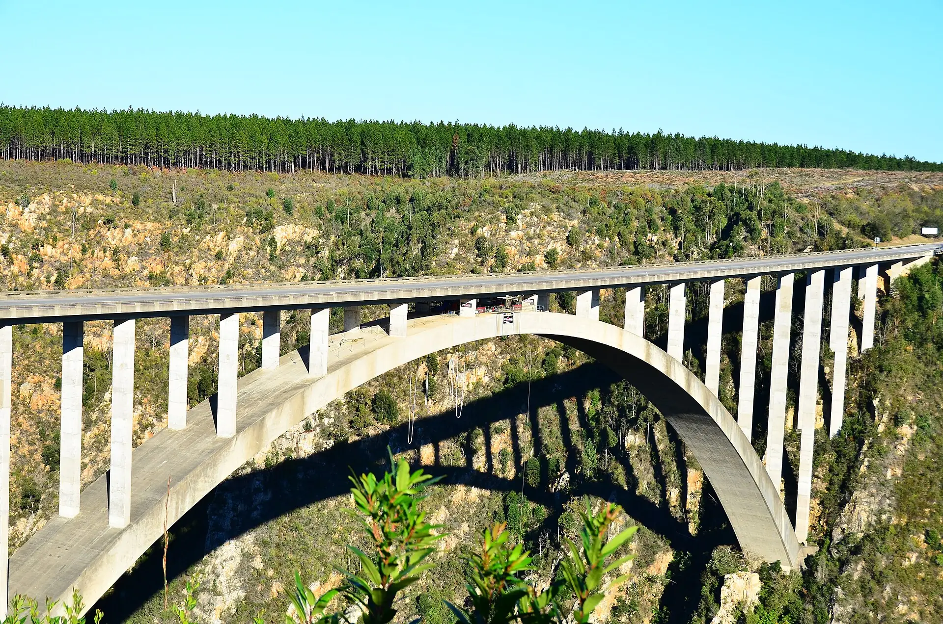 The arch of the Bloukrans Bridge spanning a forested gorge