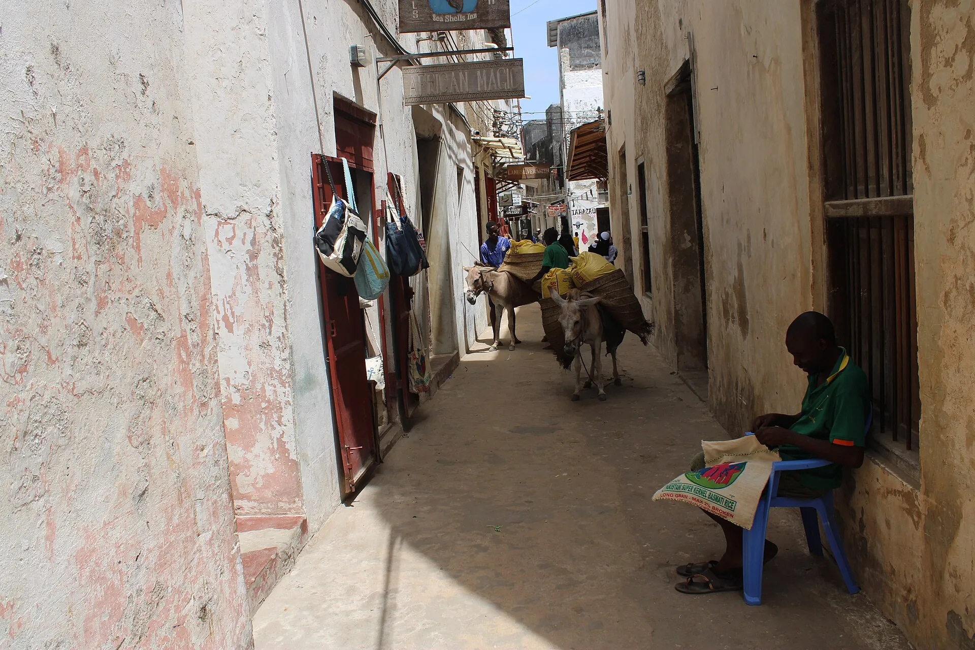 A narrow street in Lamu Old Town