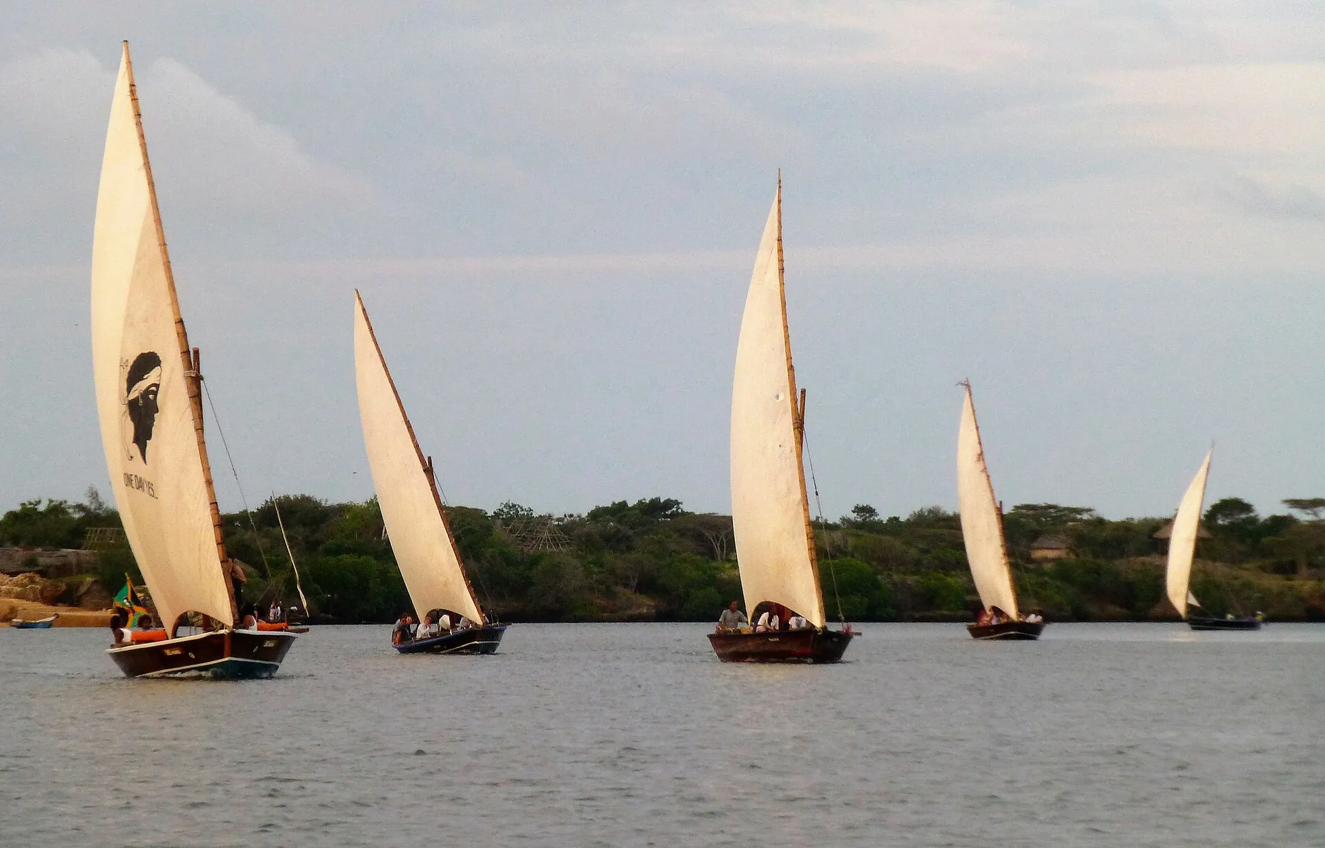 Traditional dhows sailing off Lamu