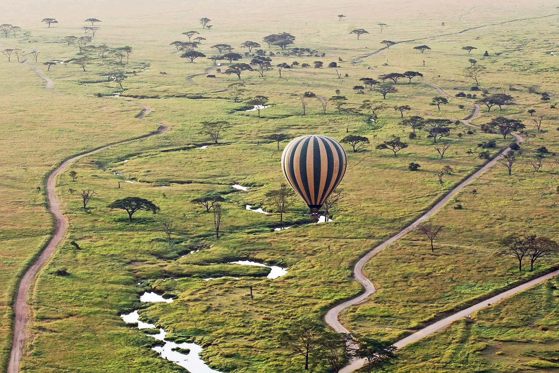 A hot-air balloon floating over the Serengeti plains