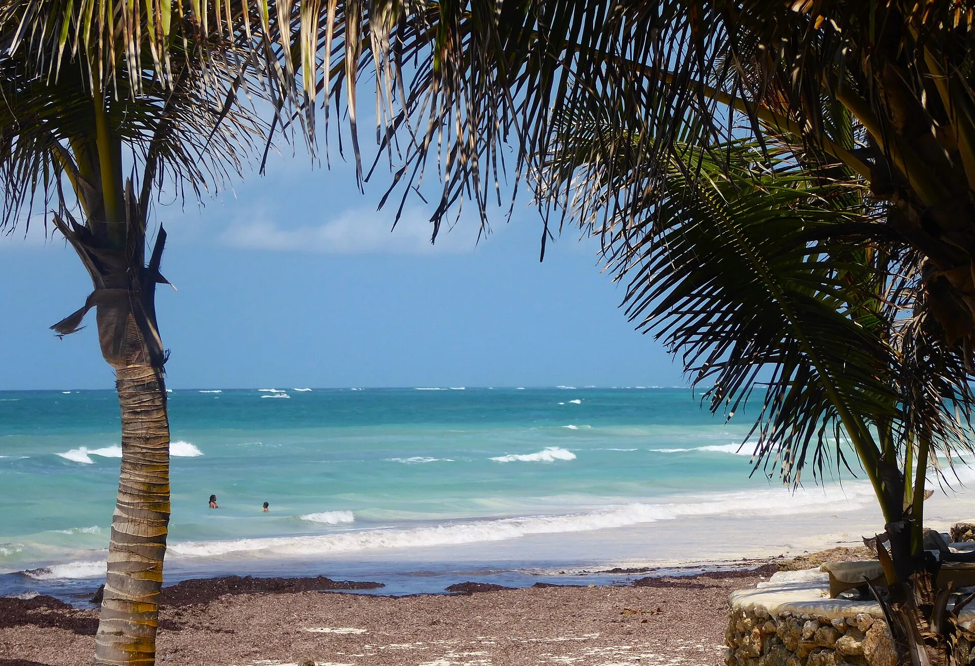Diani Beach framed by palm trees