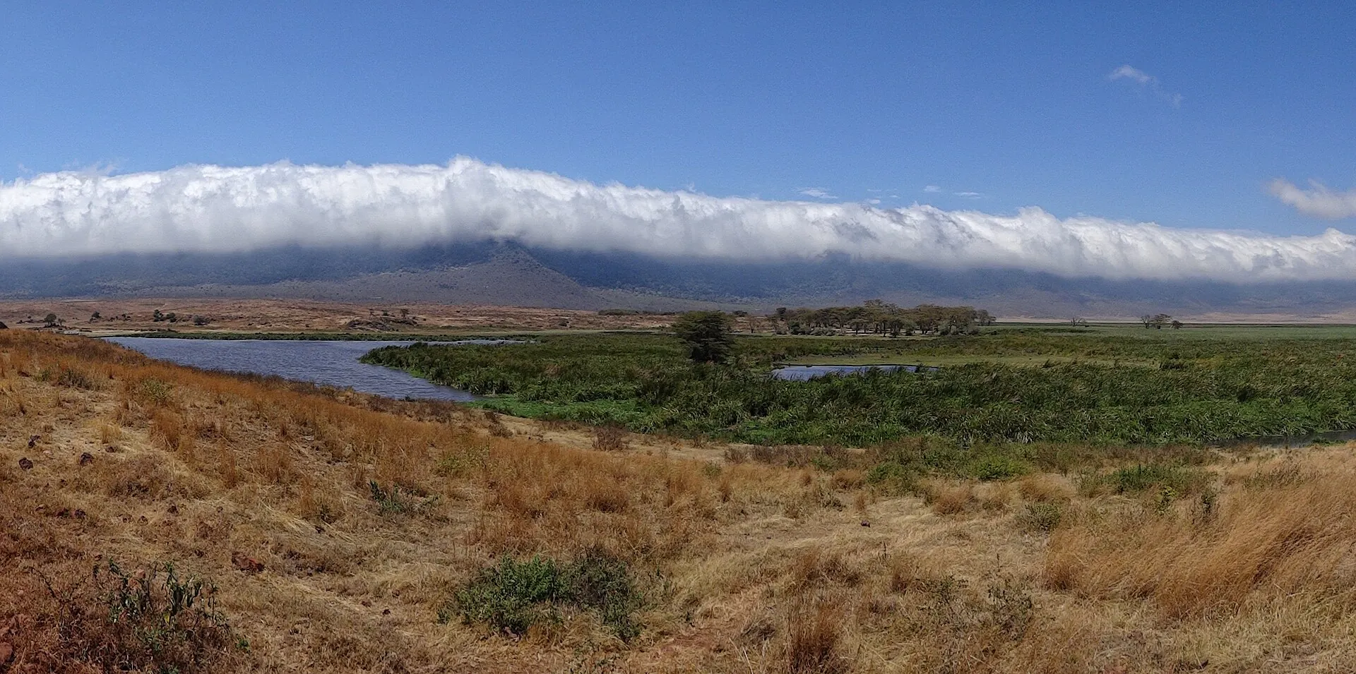 The floor of the Ngorongoro Crater, with cloud hanging over the crater rim