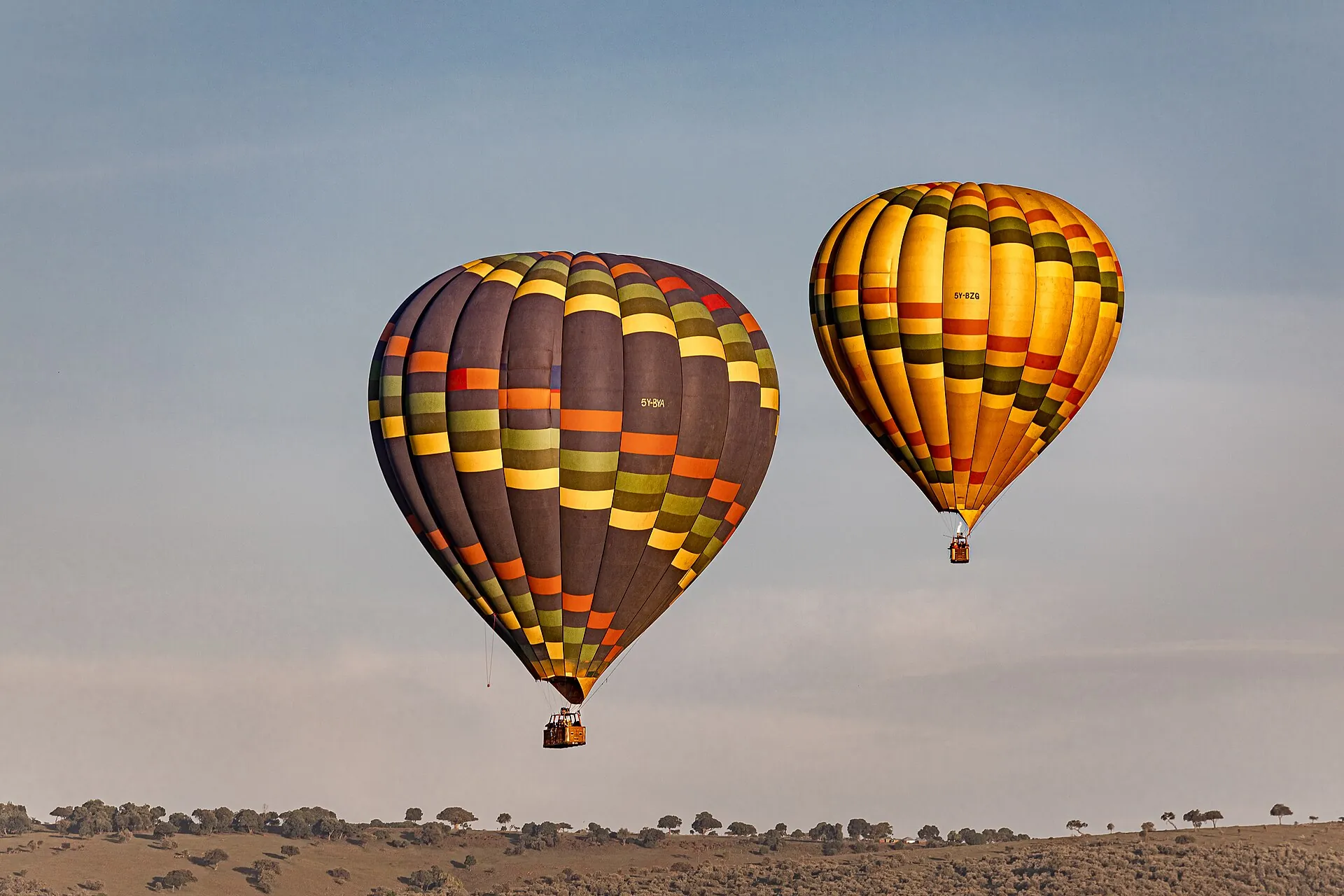 Hot-air balloons over the Masai Mara