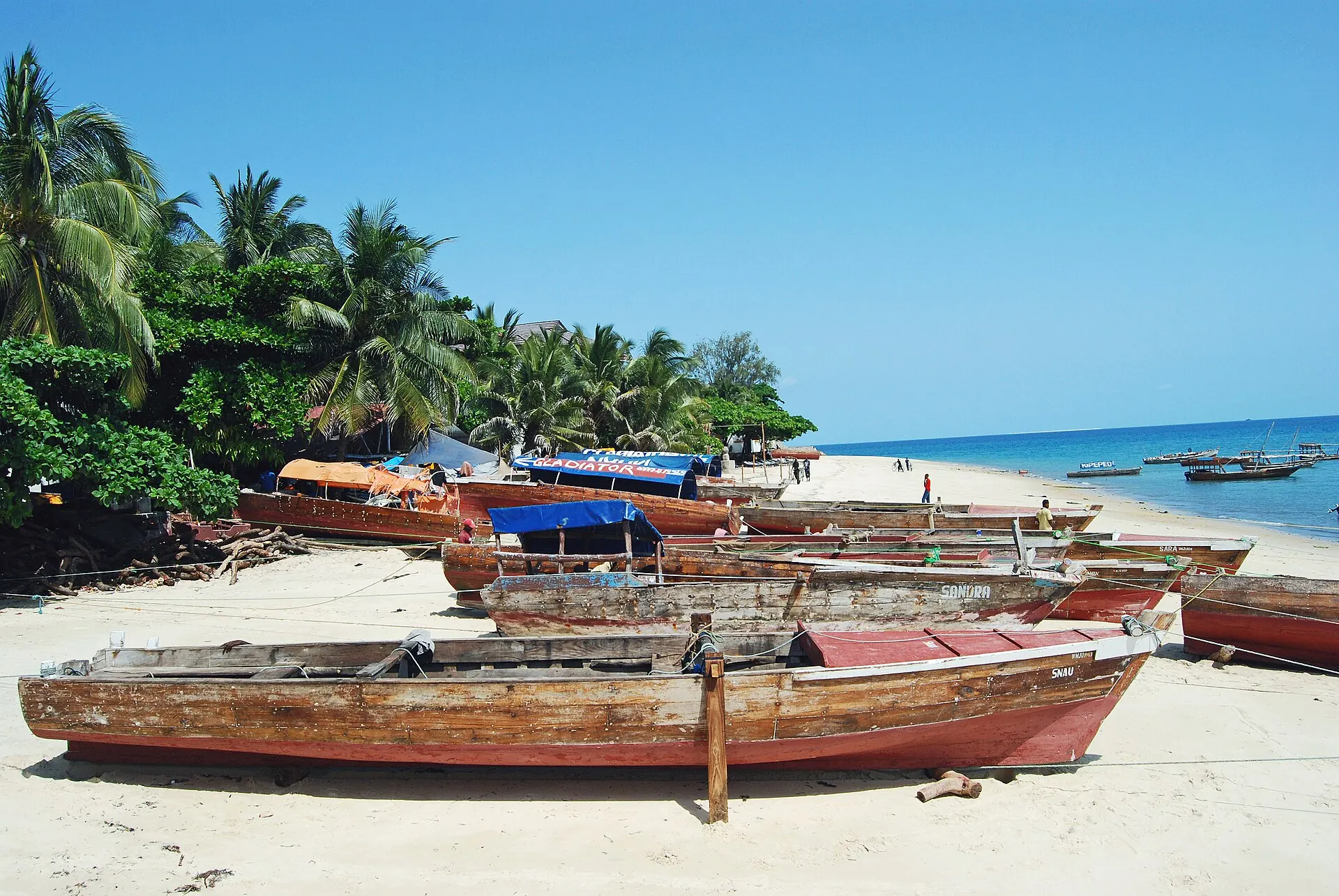 Traditional dhows pulled up on the beach at Stone Town, Zanzibar
